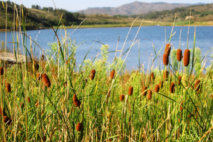 Отдыхай в Аюде за полцены! - PR